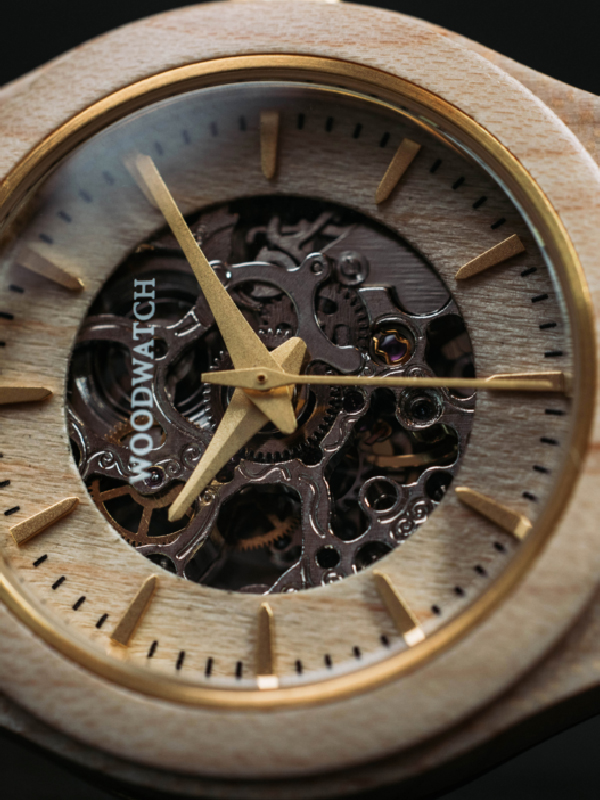 Dai il benvenuto a Wanderer, Roamer, Nomad, e Voyager