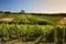 Fattoria di Valiano, la casa del Chianti...