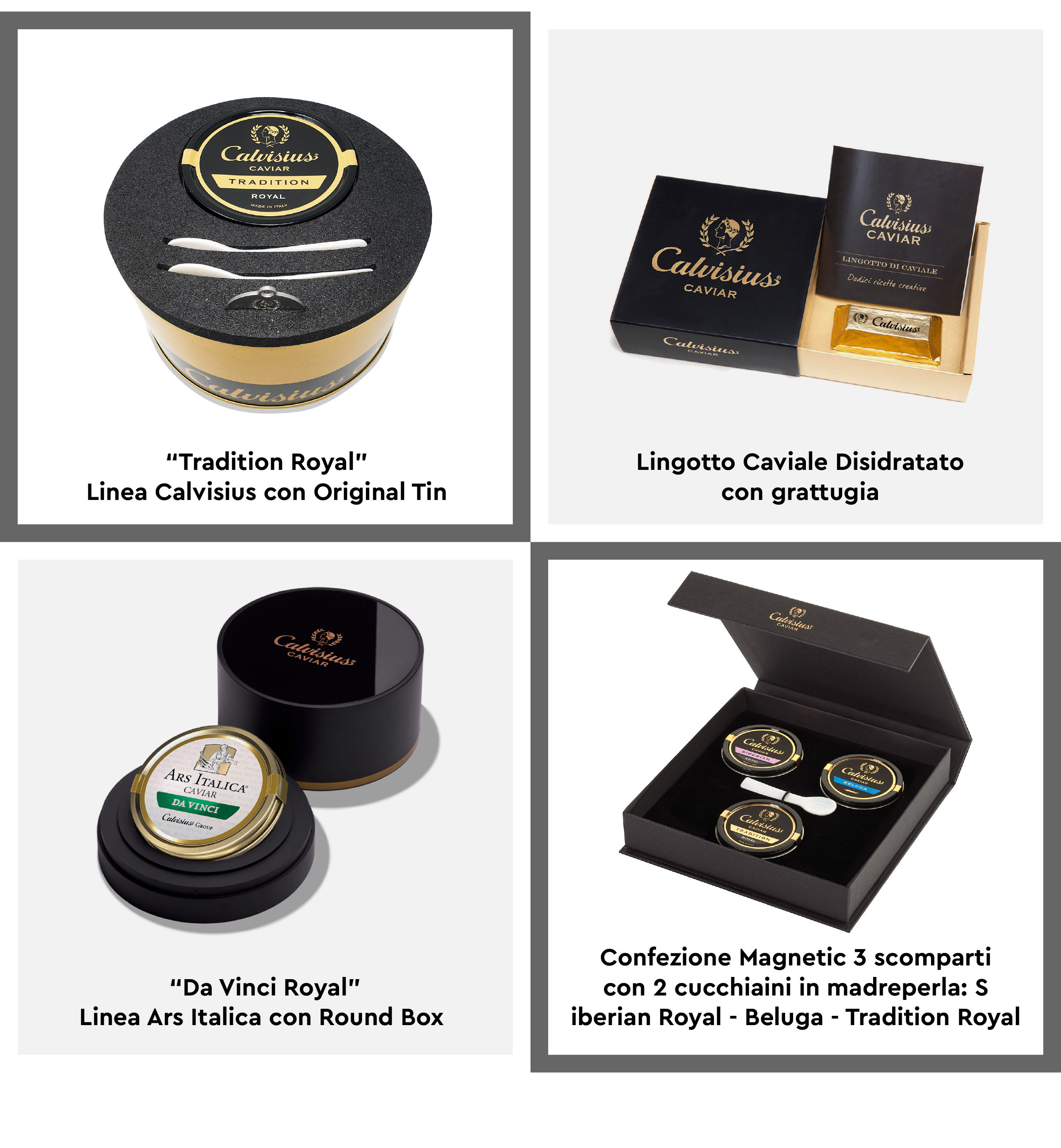 Calvisius
