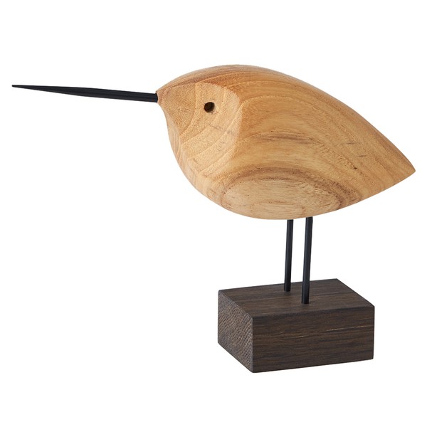 Beak Bird, Awake Snipe