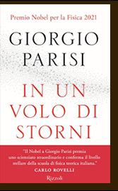 IN UN VOLO DI STORNI