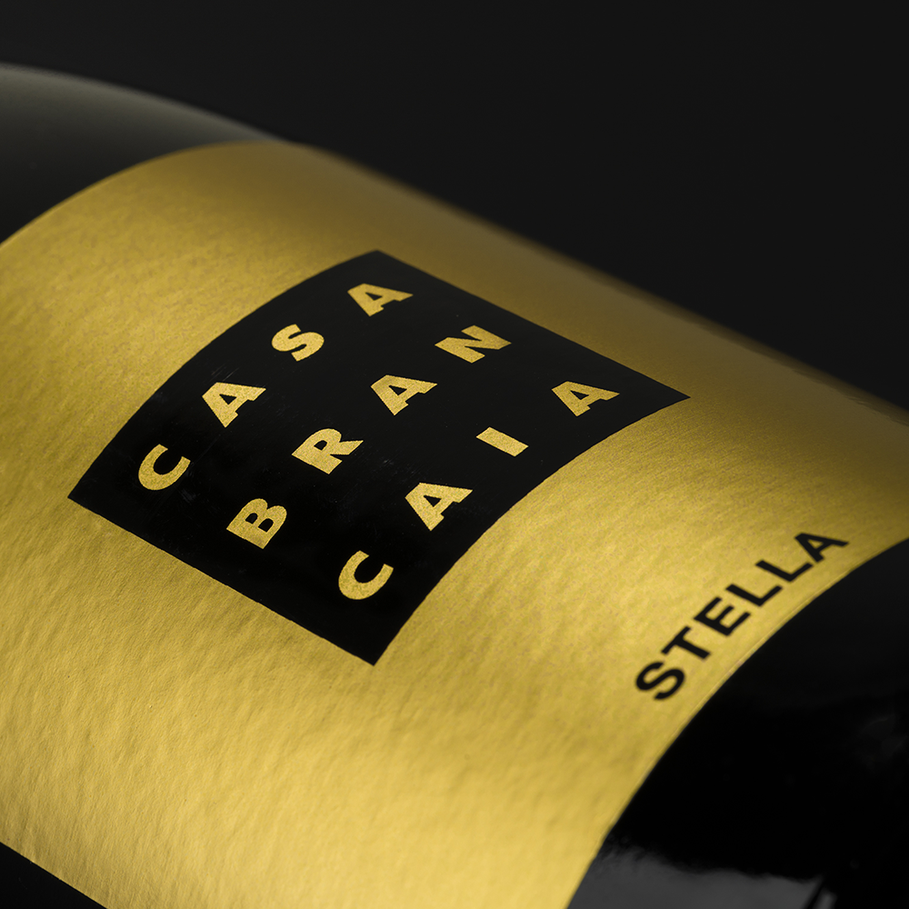 Brancaia stella