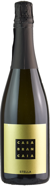 Presecco nino duca di dolle