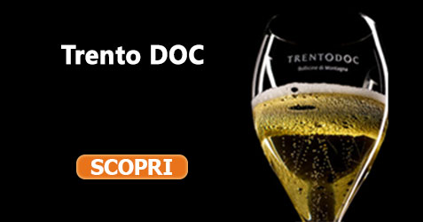 Testo alternativo