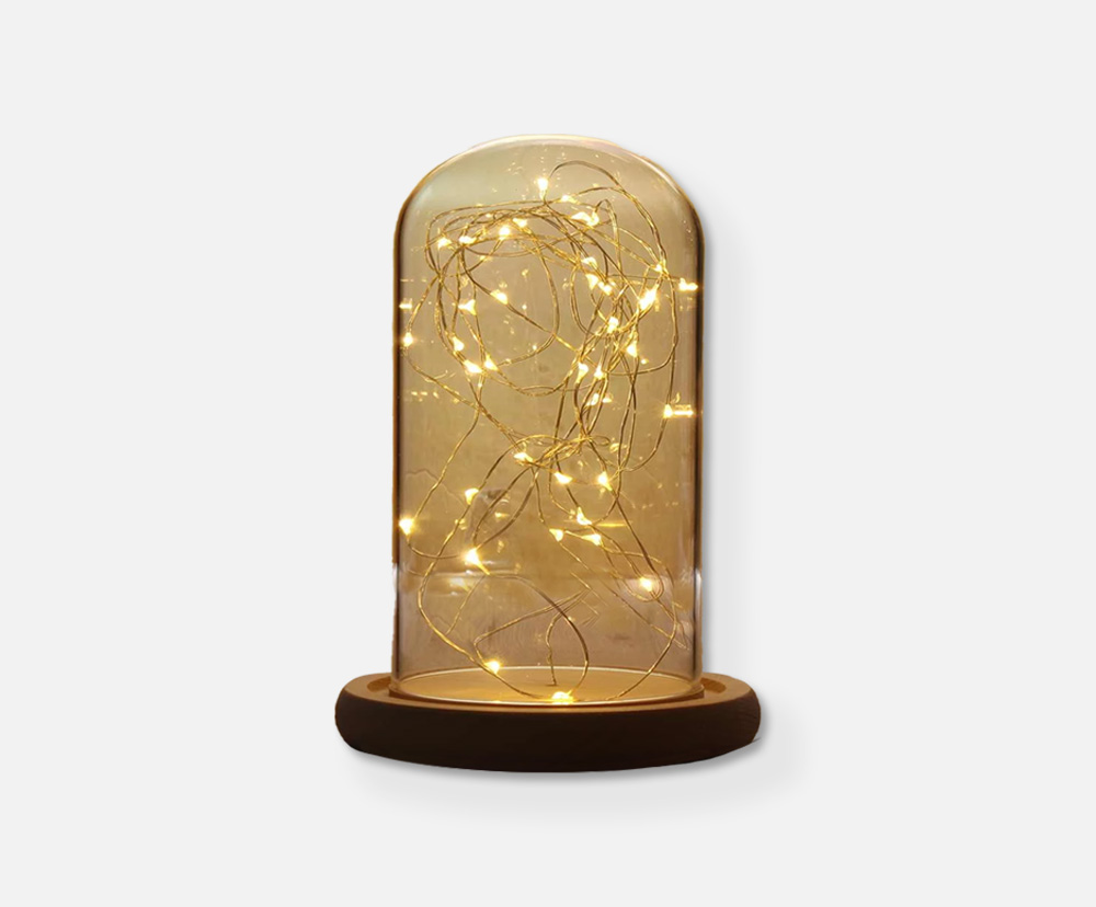 campana di vetro decorativa