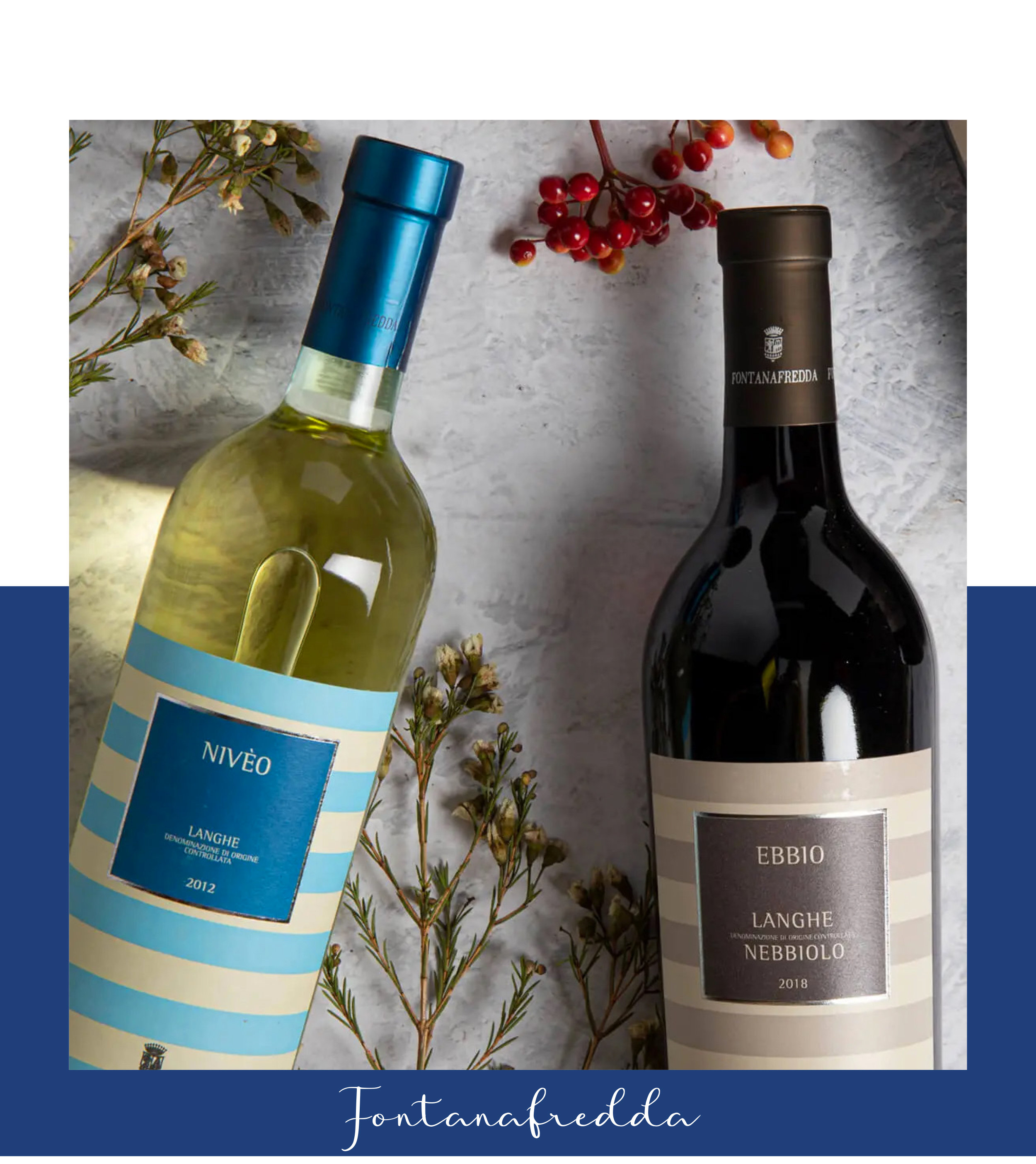 Fontanafredda - vini delle Langhe