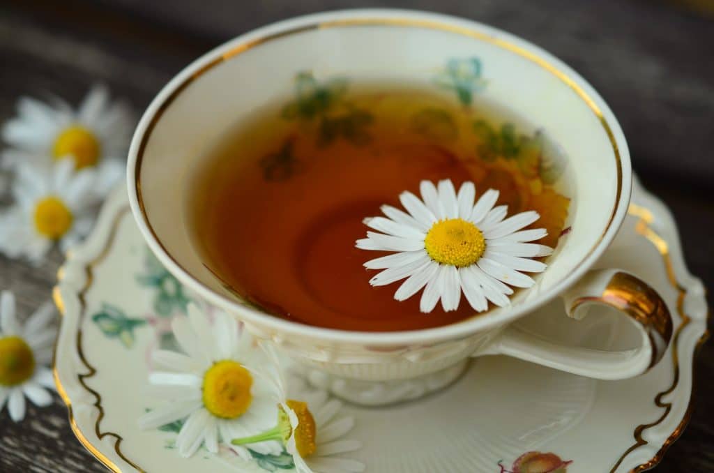 8 ERBE OFFICINALI DA AVERE NELL’ARMADIETTO DEI RIMEDI NATURALI