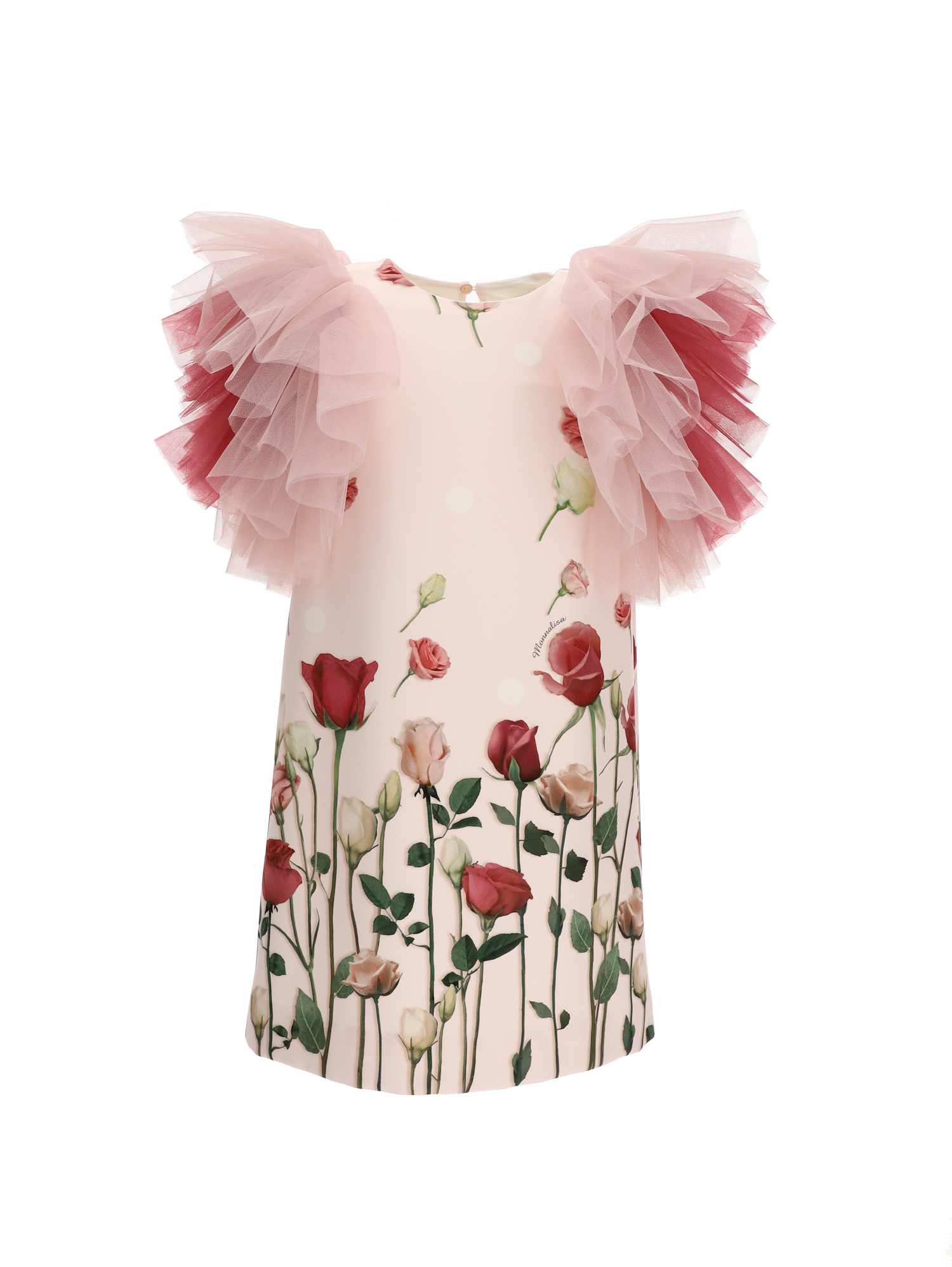 Cady ruffled tulle dress