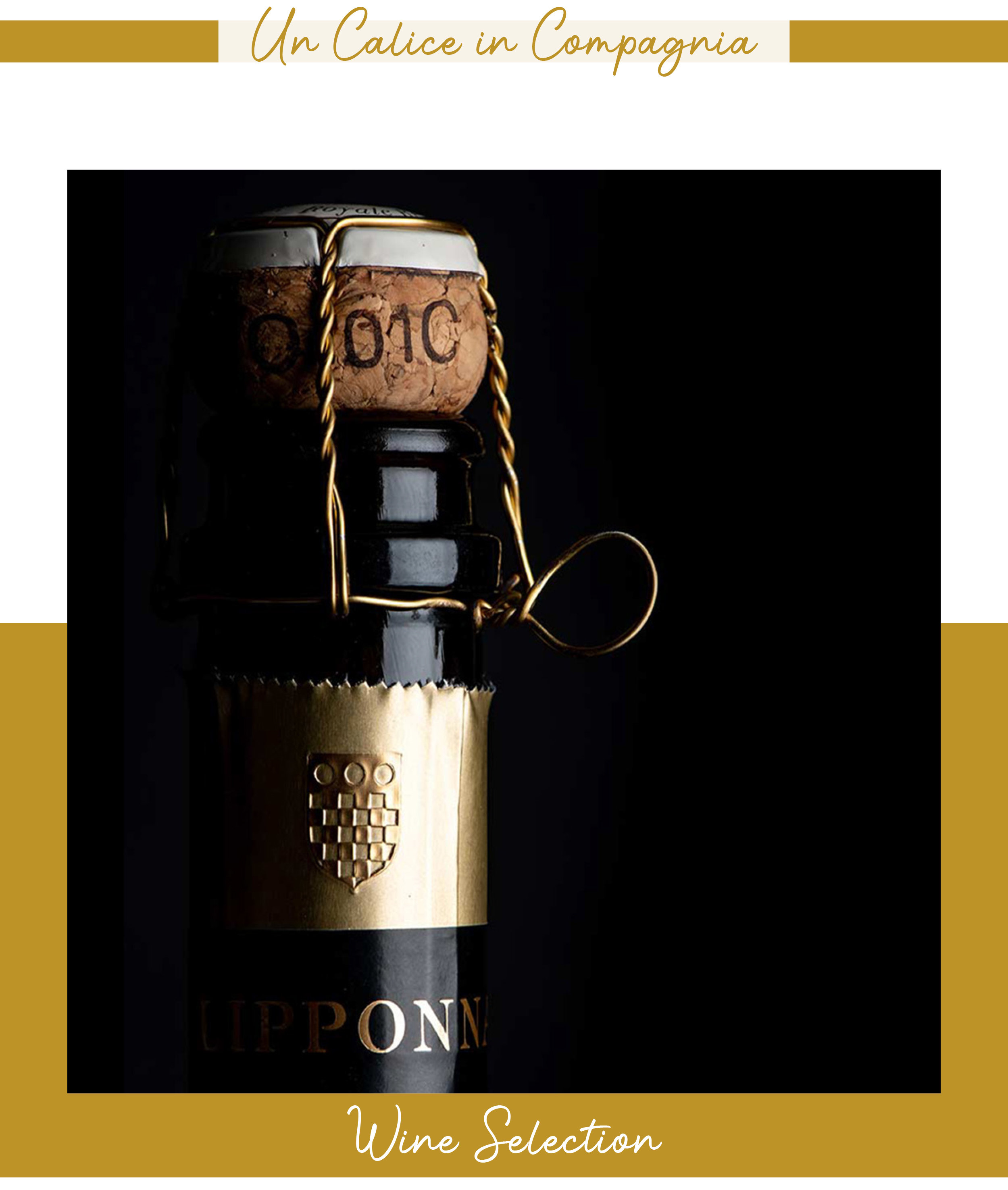 Migliori vini italiani e internazionali