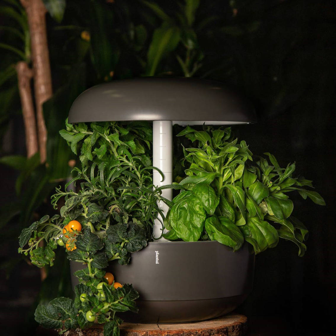 Plantui Italia - Giardini Idroponici