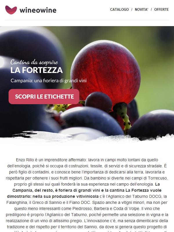 Campania: una fioriera di grandi vini