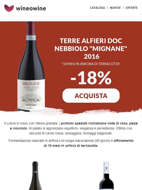 🍇 Nebbiolo affinato in anfore di terracotta