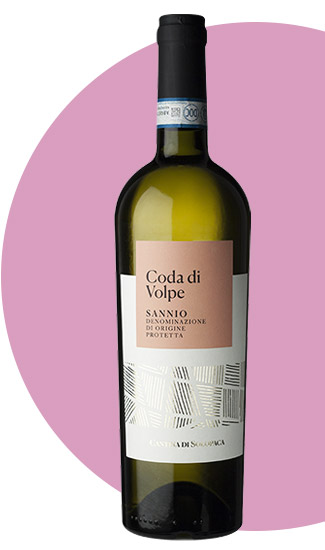 Coda di Volpe
