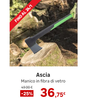 Ascia