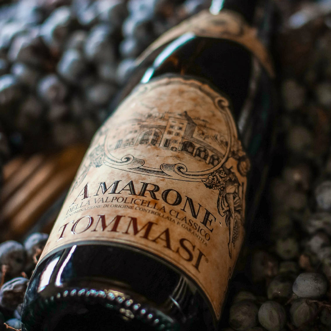 Migliori vini italiani e internazionali