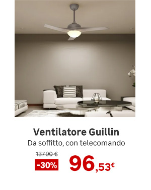 Ventilatore Guillin