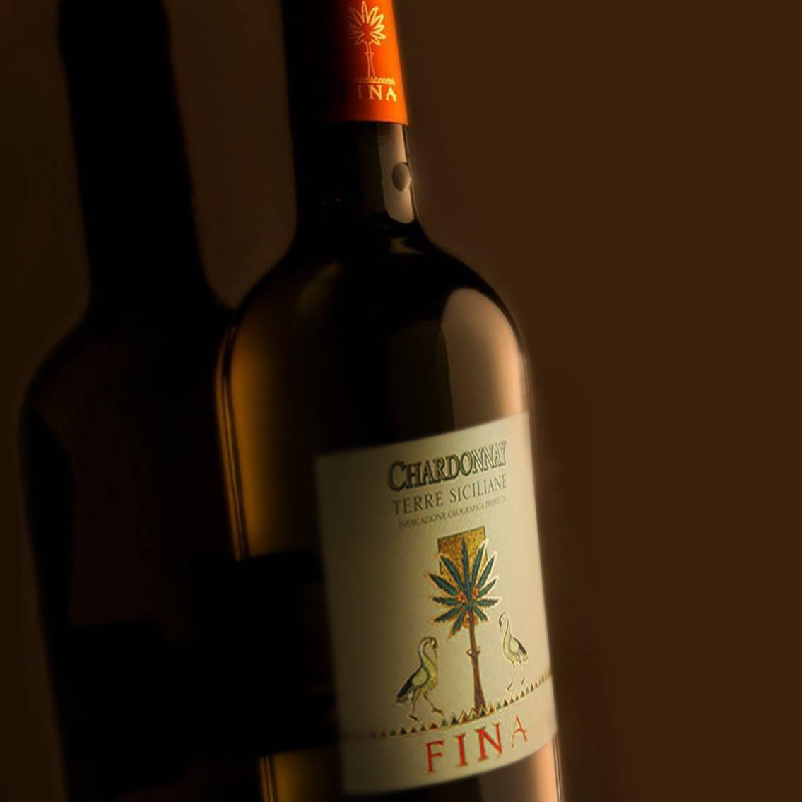 Cantine Fina Vini Rossi e Vini bianchi di Sicilia