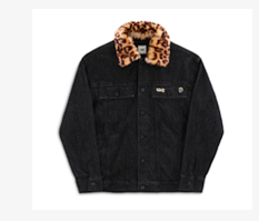 Vans Winter Sale