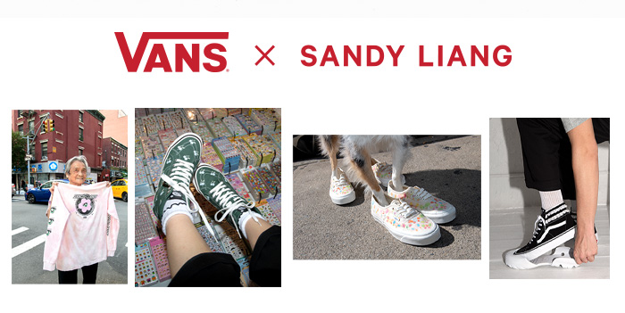 Vans Valentines Pack