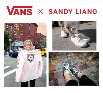 Vans Valentines Pack
