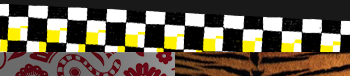 Vans Year Of The Tiger