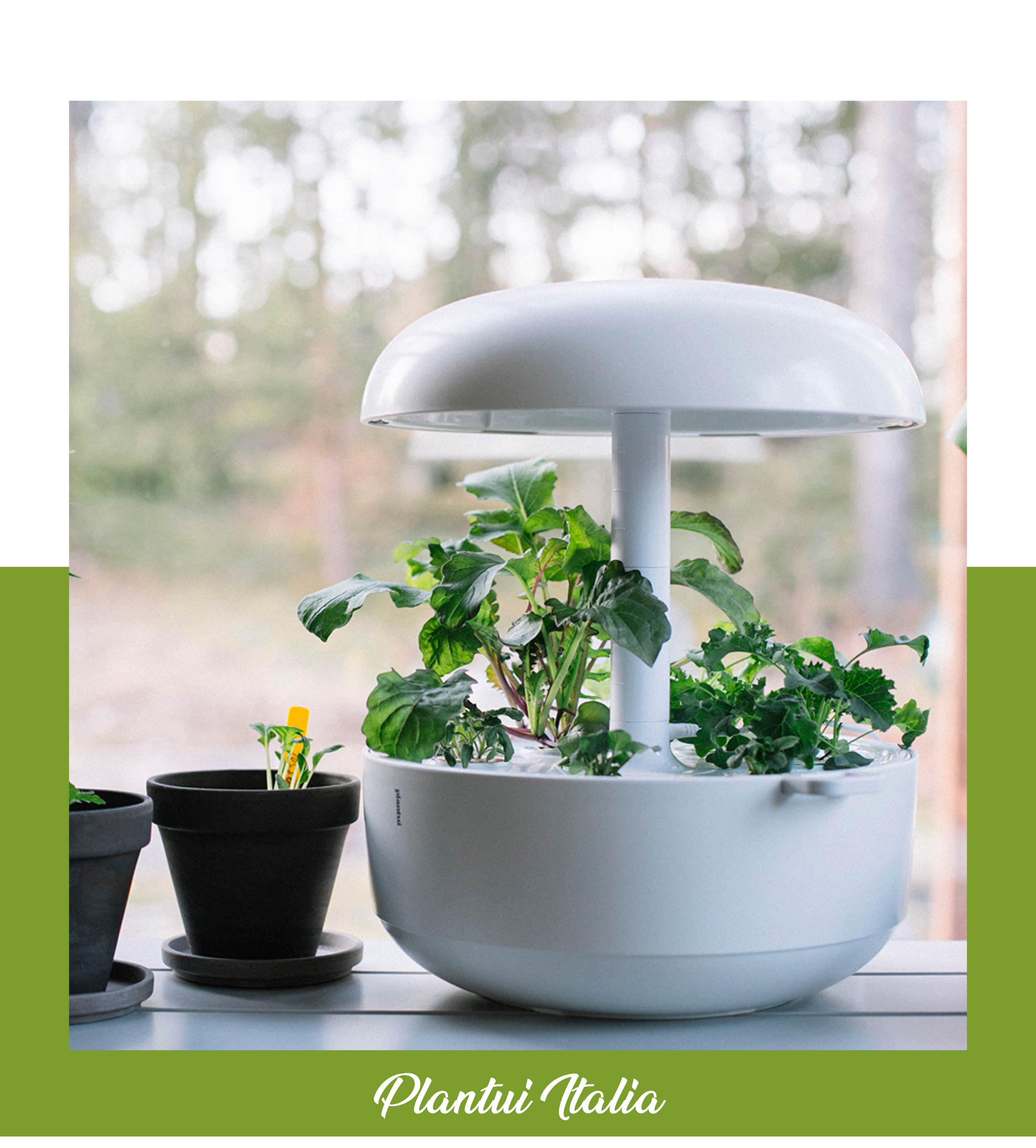 Plantui Italia - Giardini Idroponici