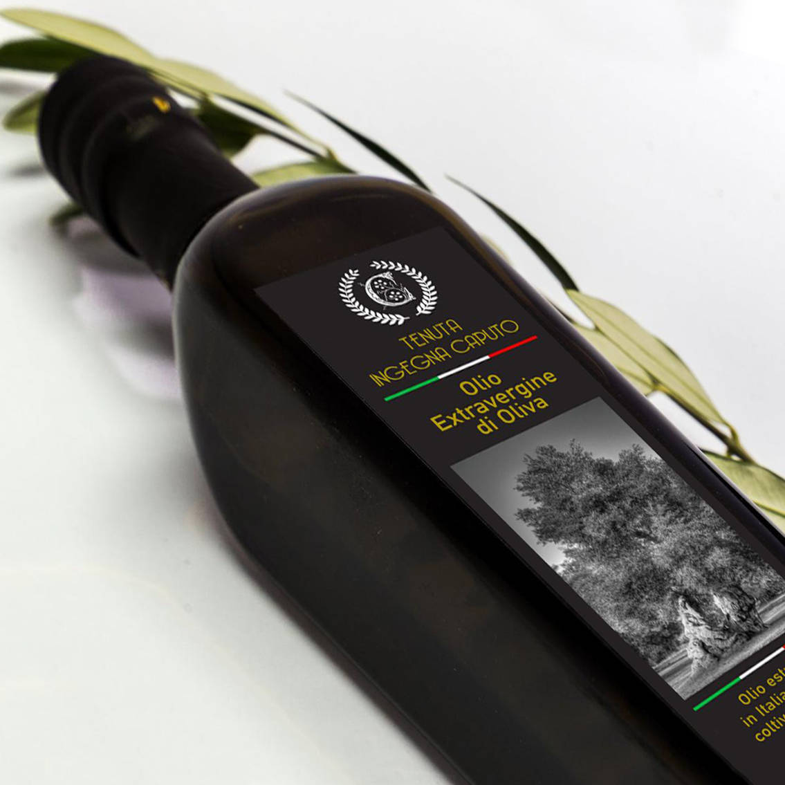 Ingegna Caputo - Olio del Salento