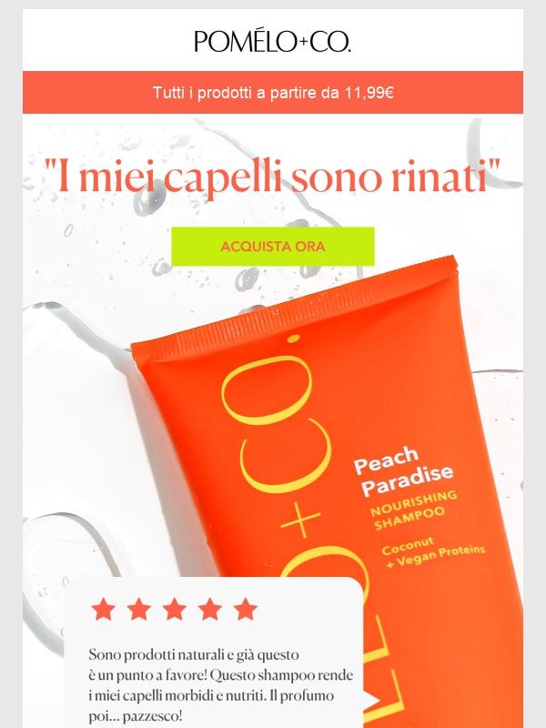 Pomélo+Co. Recensioni da sogno. Scopri perché Jekoo