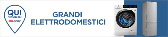 Grandi elettrodomestici
