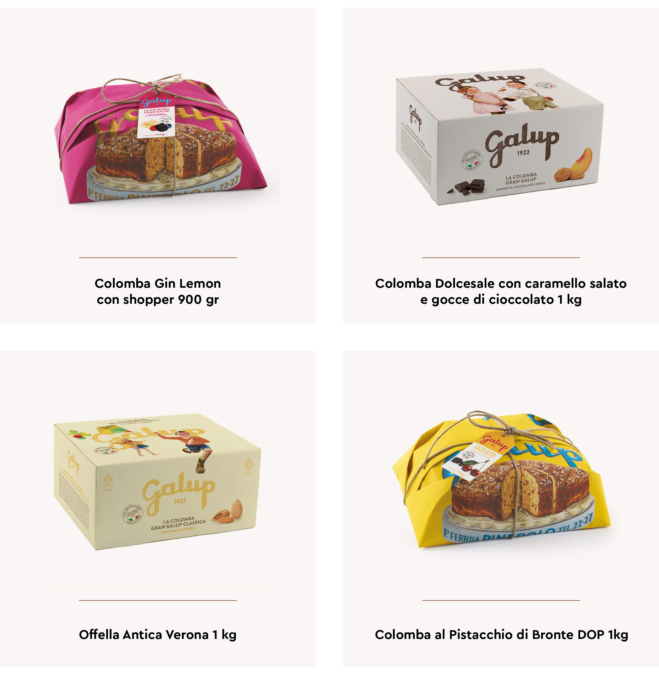 Galup colombe