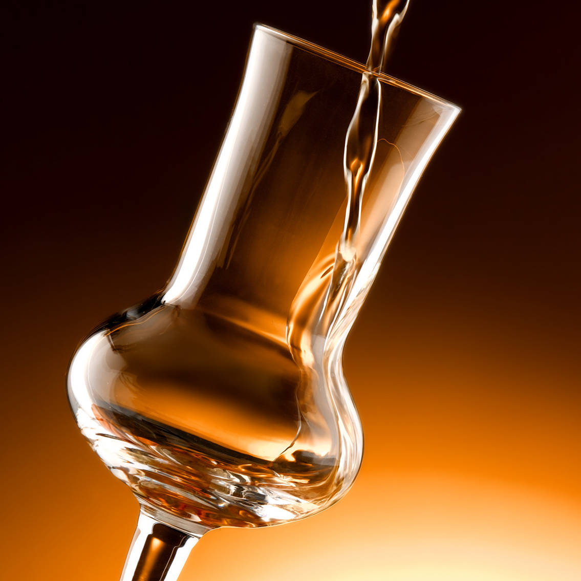 Liquori e distillati selezione di eccellenze di spiriti