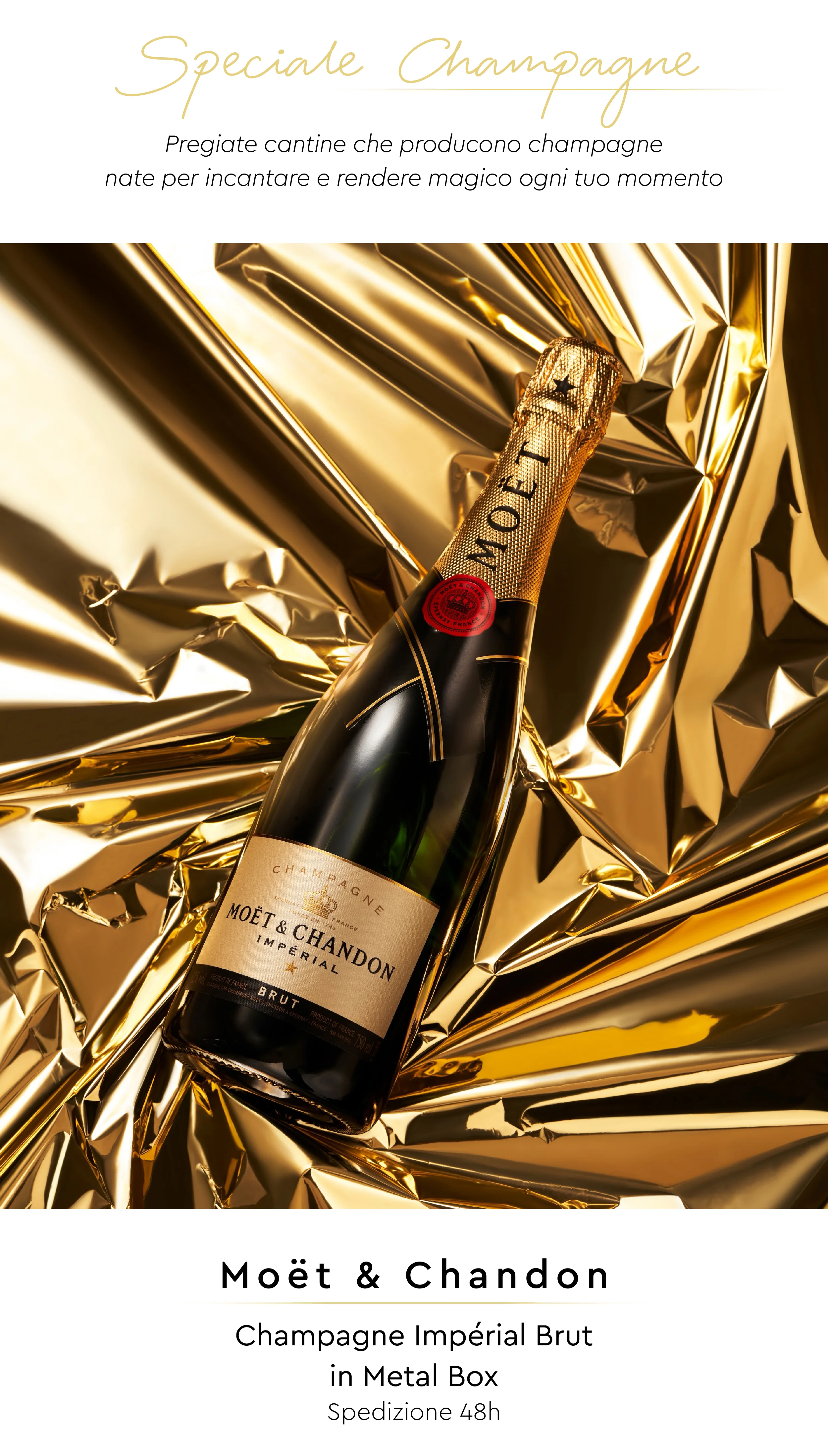 Speciale Top Champagne