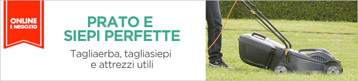 Tagliaerba, tagliasiepi e attrezzi utili.