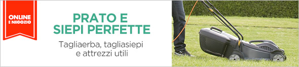 Tagliaerba, tagliasiepi e attrezzi utili.