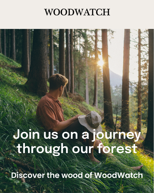 Join us on a journey through our forest