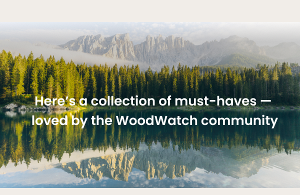 Here's a collection of must-haves — loved by the WoodWatch community