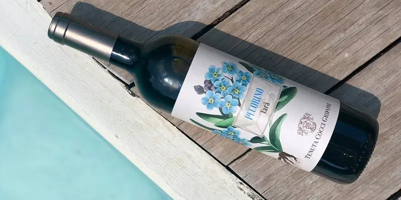 Tenuta Cocci Grifoni vino