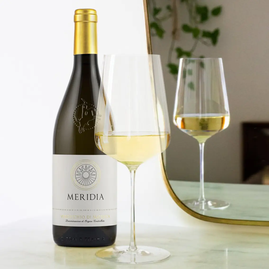 Cantine Belisario vini marchigiani