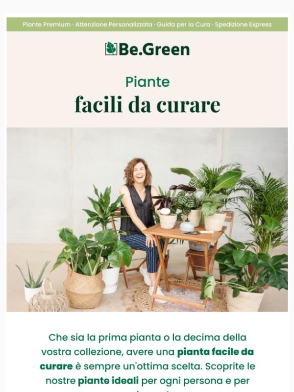 Exotenherz Ficus Anastasia (Fico Di Betulla) – Pianta Da Interno Purificante In Vaso 12 Cm, Facile Da Curare - 3
