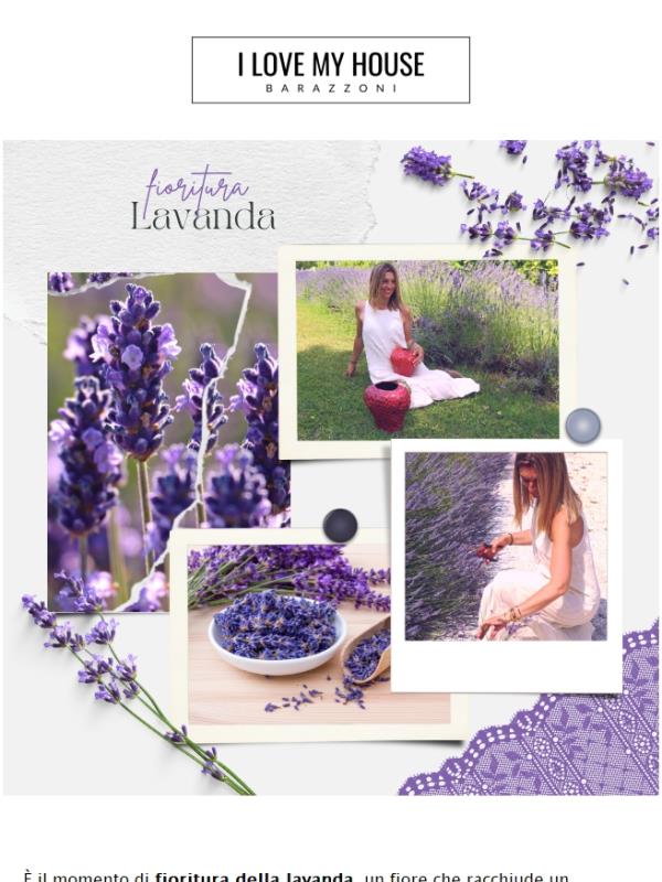 il tuo ricordo è la mia unica felicità