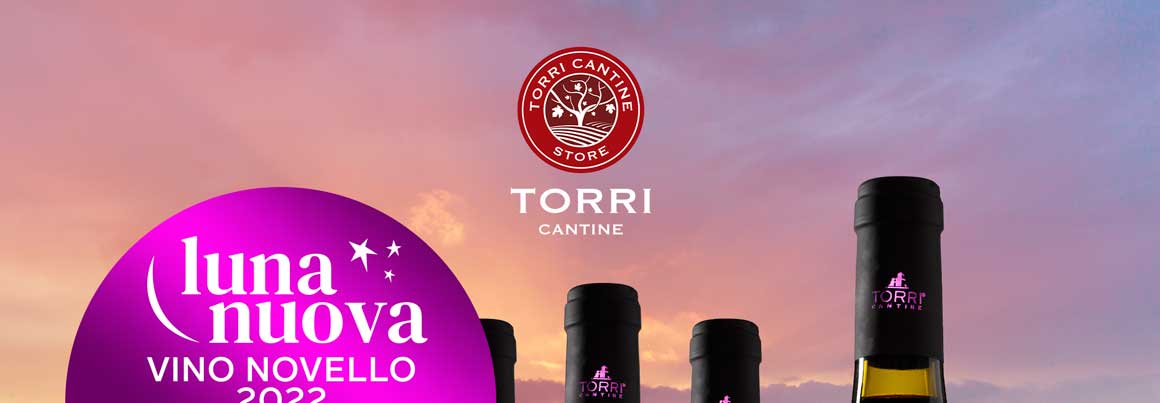 Torri Cantine Store