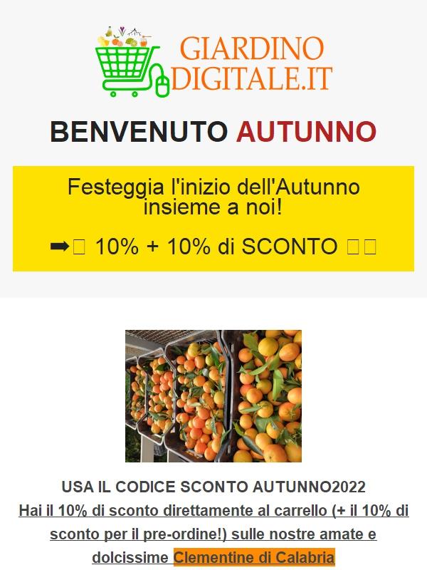 Benvenuto AUTUNNO -> SCONTO 10%+10% CLEMENTINE