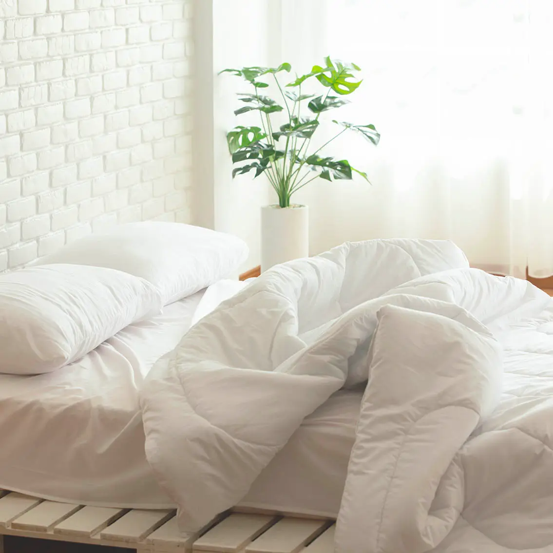 Selezione Piumini Letto