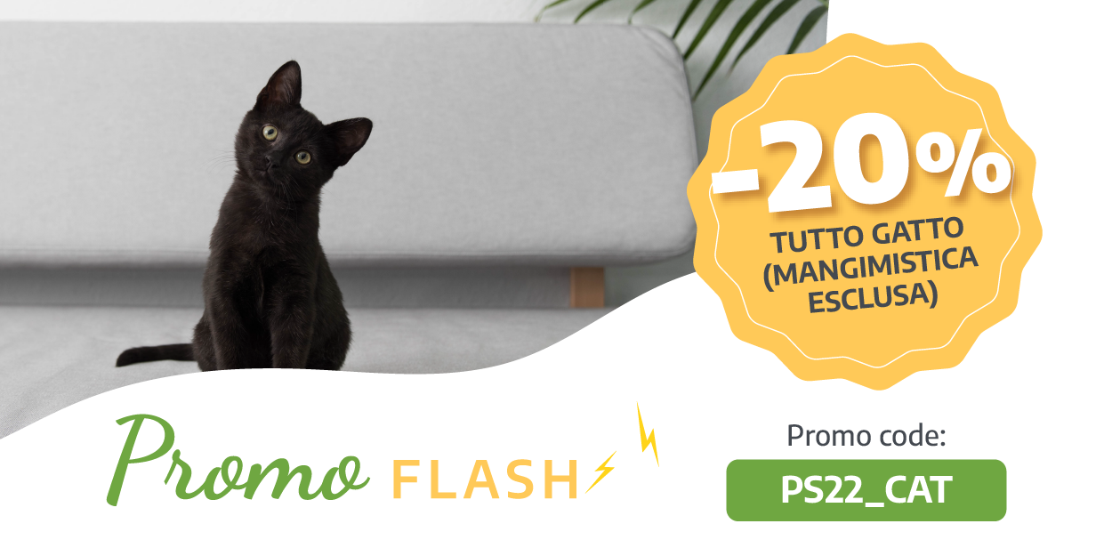-20% di Sconto su Tutto l'Assortimento Gatto