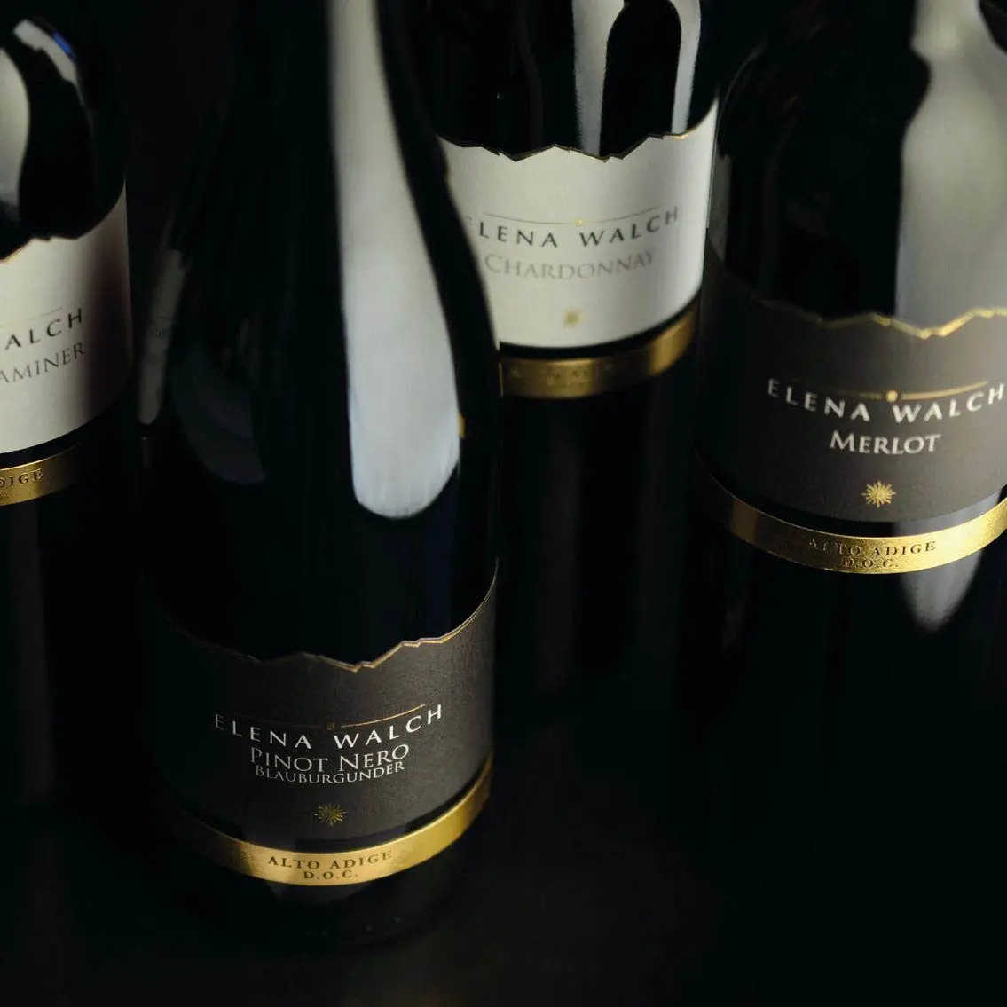 Migliori vini italiani e internazionali