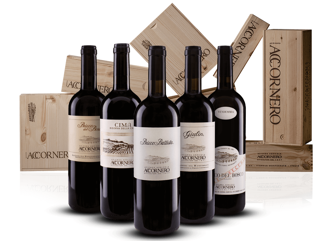 Accornero Vini - Vinolog24.com