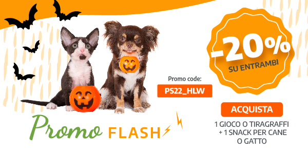 Promo Spot Halloween
