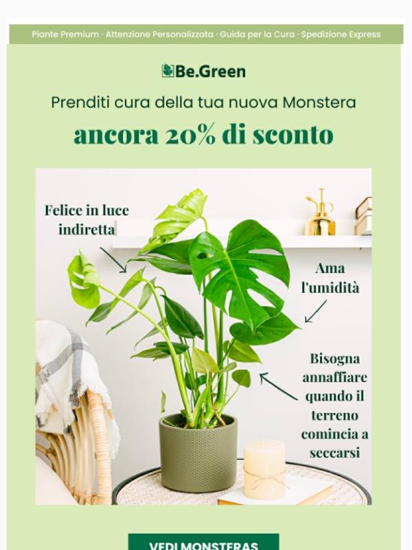 Non hai ancora sentito? 🤭 🪴