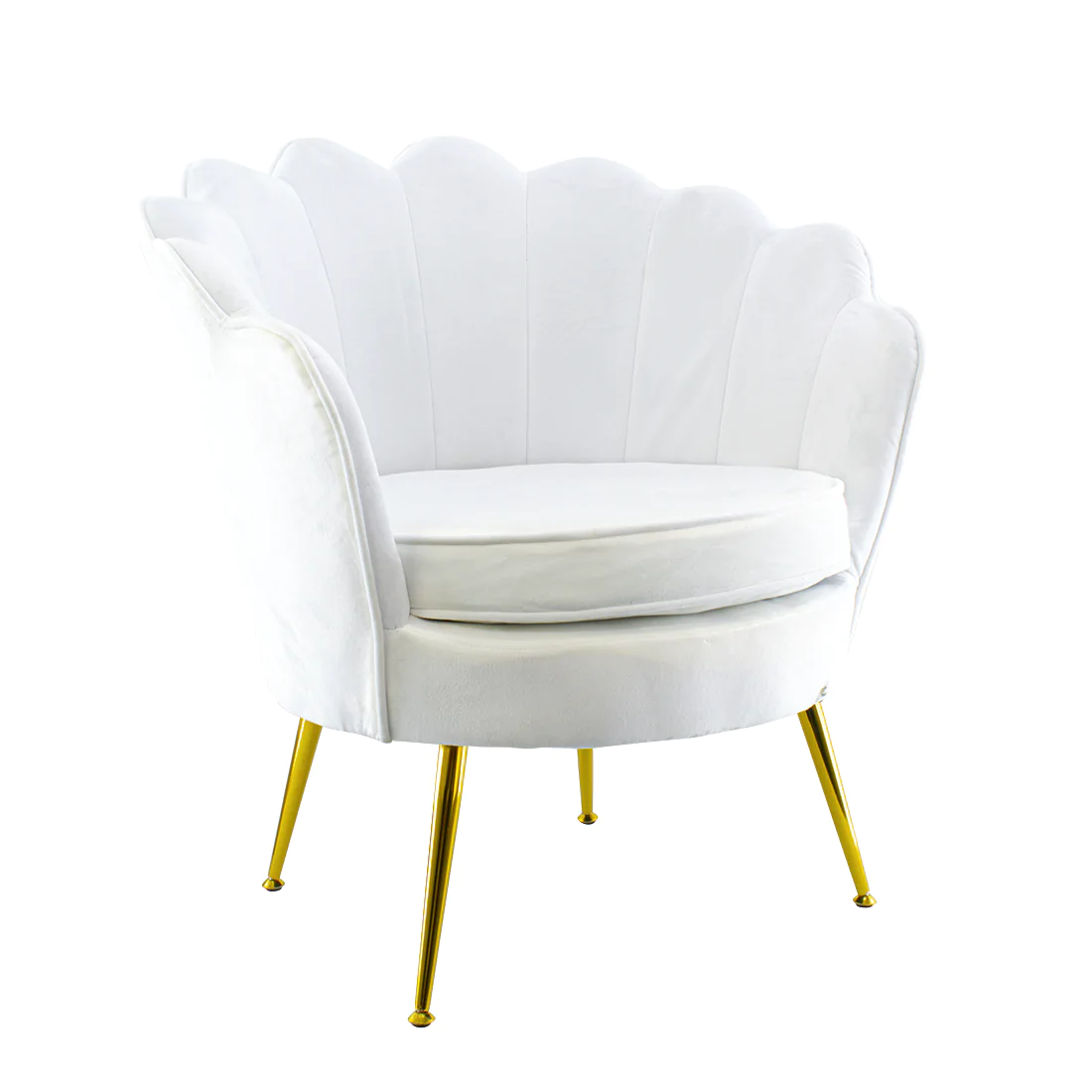 Image of Poltrona Imbottita Schienale a Conchiglia in Velluto Piedi Oro Bianco