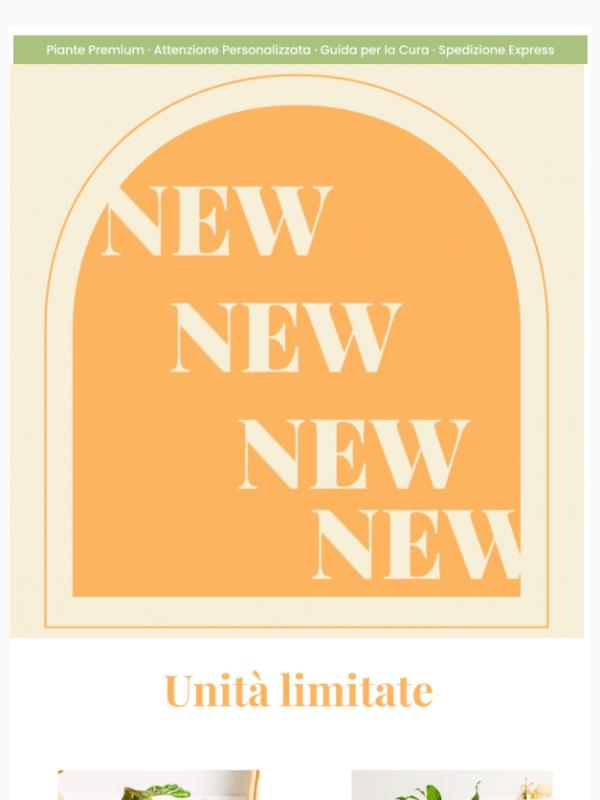 Novità con stock limitato 🤭🪴
